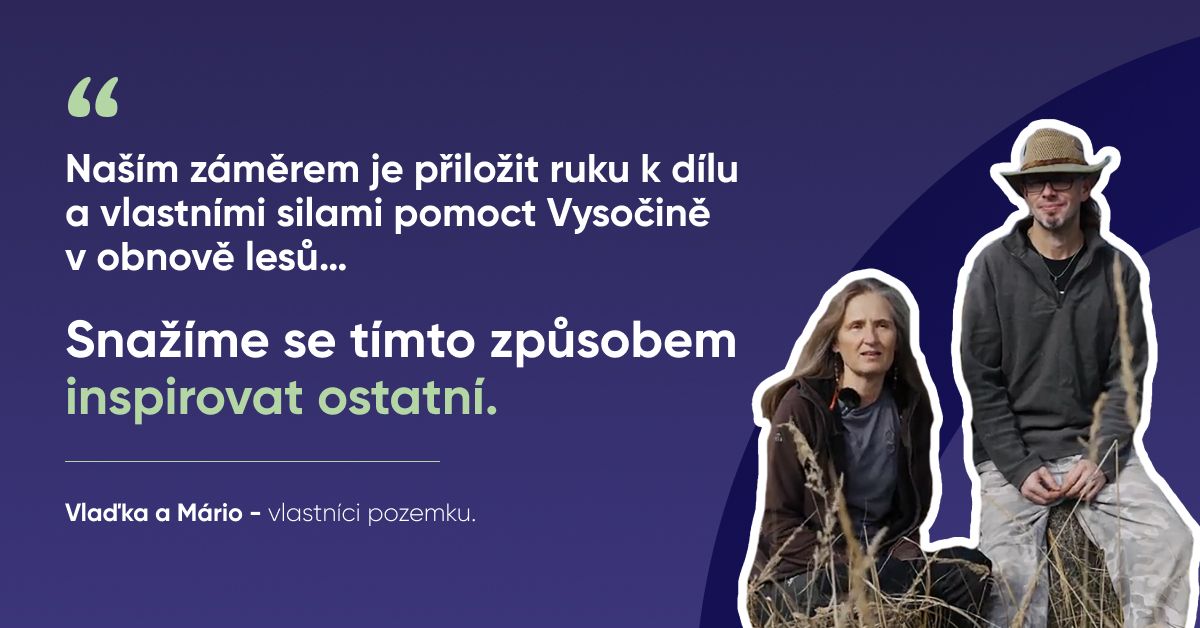 levné pozemky, koupě pozemku, investice do půdy, vlastní pozemek, obnova krajiny, jak koupit pozemek levně