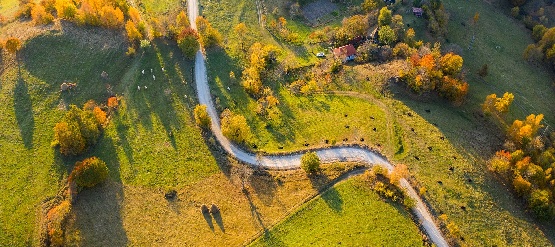 Záběr zeshora na pozemky a okolí.